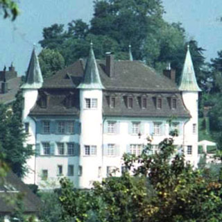 Die teuerste Rüst-Immobilie: Das Schloss Risegg